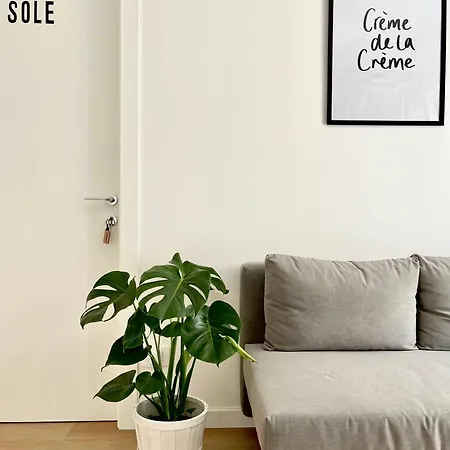Simposio - Luxury *