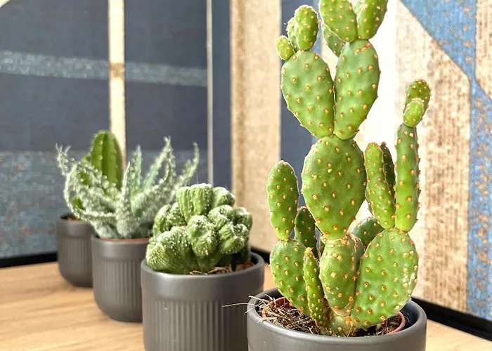 Simposio - Luxury דירה *