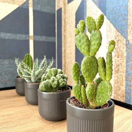 Simposio - Luxury 아파트 *